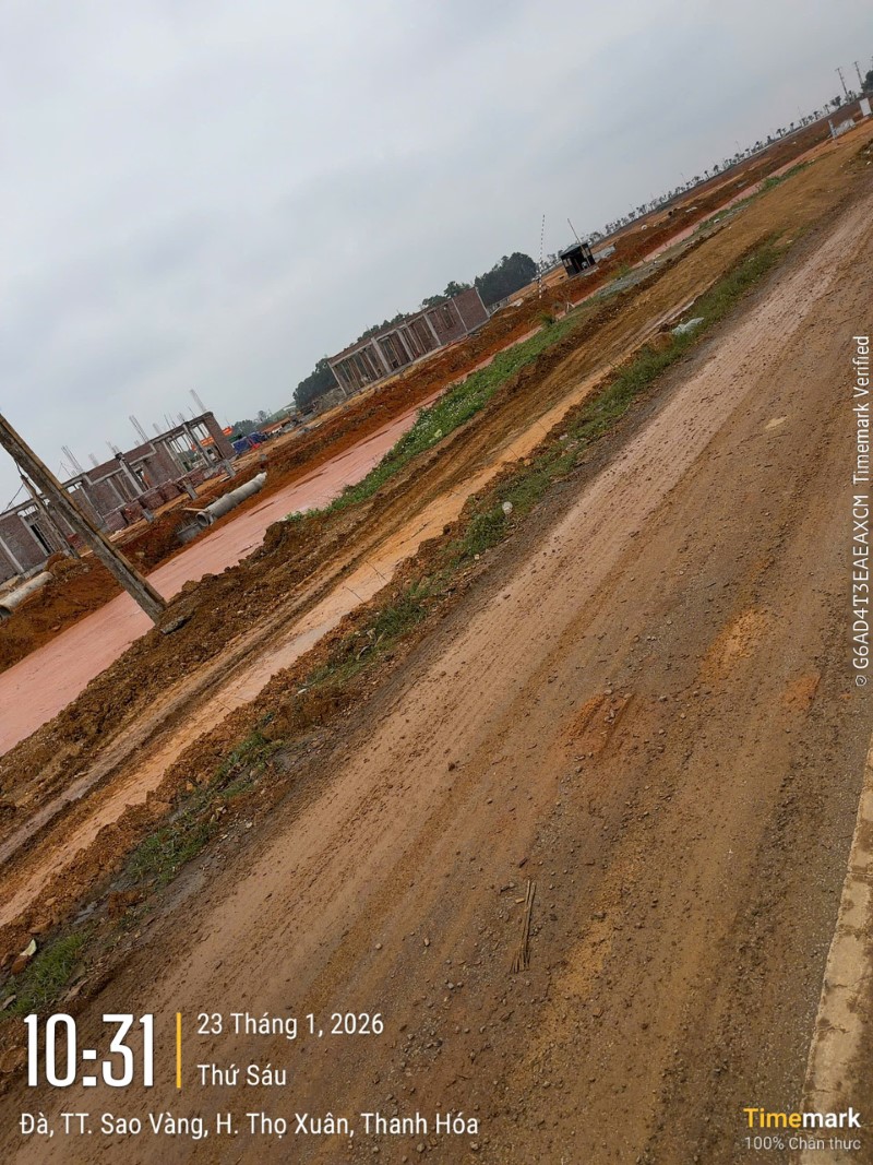 Đất Nền Thanh Hóa – Cơ Hội Đầu Tư An Toàn, Sinh Lời Bền Vững Năm 2026